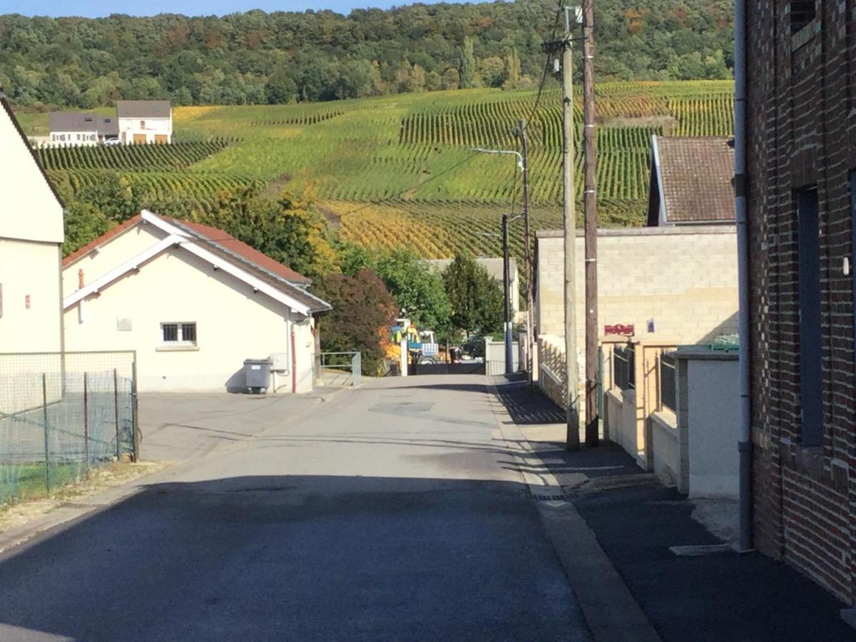 Gite De La Liberte Vinay (Marne) Exterior foto
